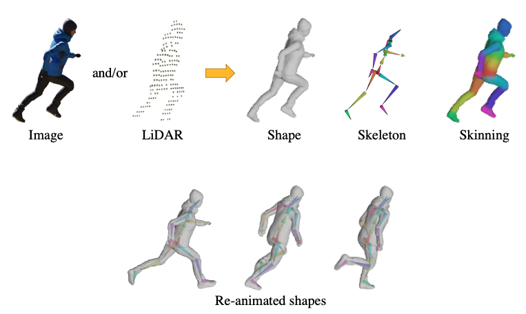 Neural Shape, Skeleton, and Skinning